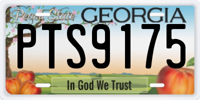 GA license plate PTS9175