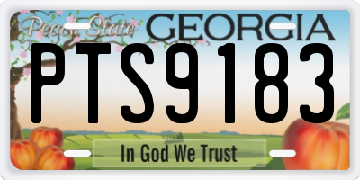 GA license plate PTS9183