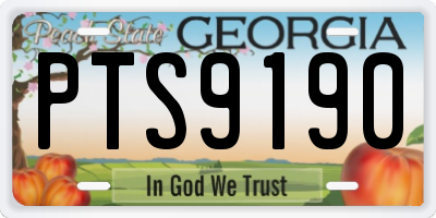 GA license plate PTS9190