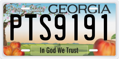 GA license plate PTS9191