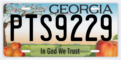 GA license plate PTS9229