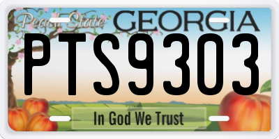 GA license plate PTS9303