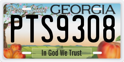 GA license plate PTS9308