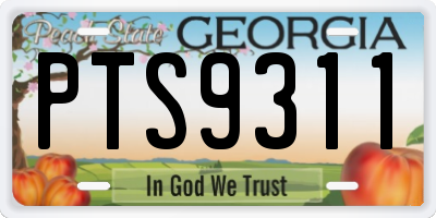 GA license plate PTS9311