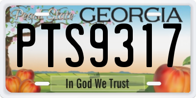 GA license plate PTS9317