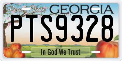 GA license plate PTS9328