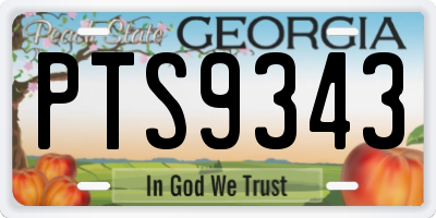GA license plate PTS9343