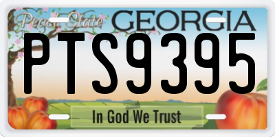 GA license plate PTS9395