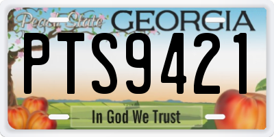 GA license plate PTS9421