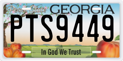 GA license plate PTS9449