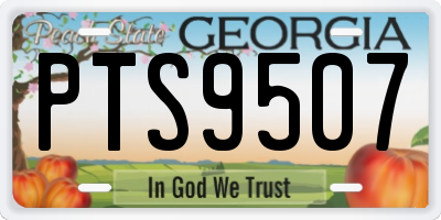 GA license plate PTS9507