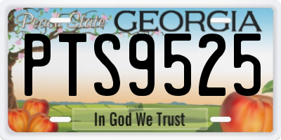 GA license plate PTS9525