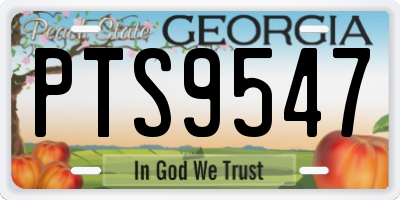 GA license plate PTS9547
