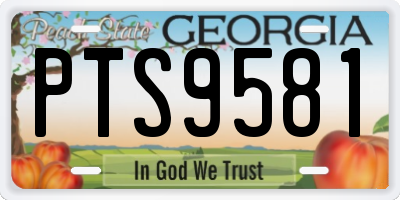 GA license plate PTS9581
