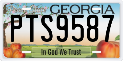 GA license plate PTS9587