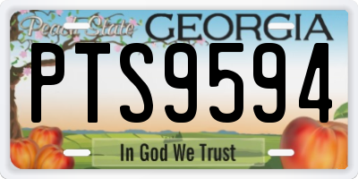 GA license plate PTS9594