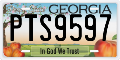GA license plate PTS9597