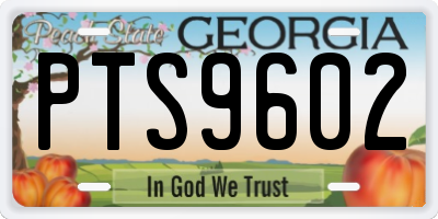 GA license plate PTS9602