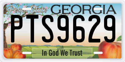 GA license plate PTS9629