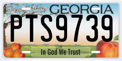 GA license plate PTS9739