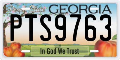 GA license plate PTS9763
