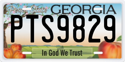 GA license plate PTS9829