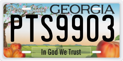 GA license plate PTS9903