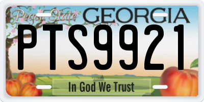 GA license plate PTS9921