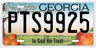 GA license plate PTS9925