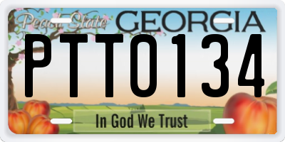 GA license plate PTT0134