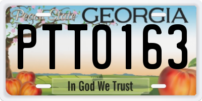 GA license plate PTT0163