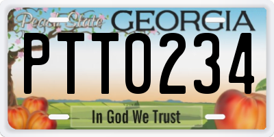 GA license plate PTT0234