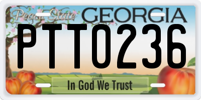 GA license plate PTT0236
