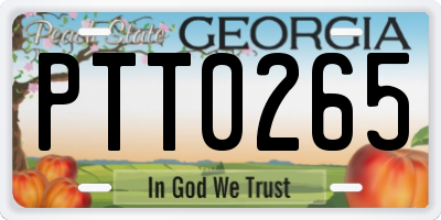 GA license plate PTT0265