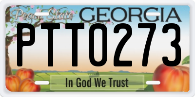 GA license plate PTT0273