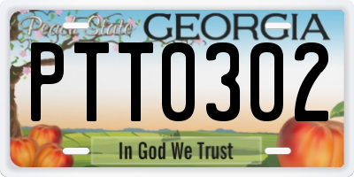 GA license plate PTT0302