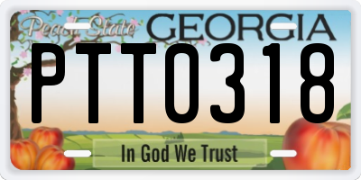 GA license plate PTT0318