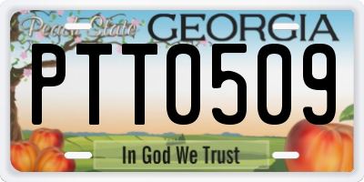 GA license plate PTT0509