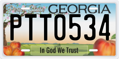 GA license plate PTT0534