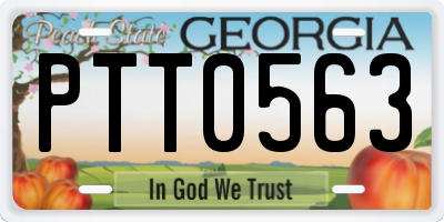 GA license plate PTT0563