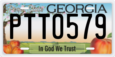 GA license plate PTT0579
