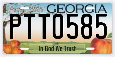 GA license plate PTT0585