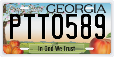 GA license plate PTT0589