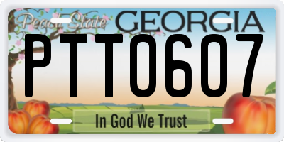 GA license plate PTT0607