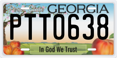 GA license plate PTT0638