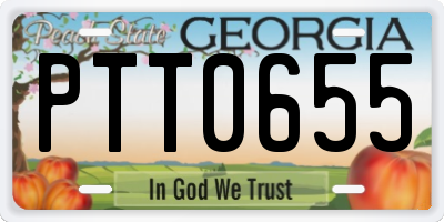 GA license plate PTT0655
