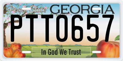 GA license plate PTT0657
