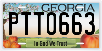 GA license plate PTT0663