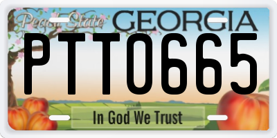 GA license plate PTT0665