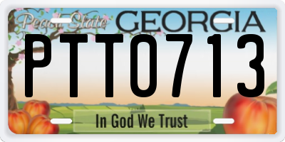 GA license plate PTT0713
